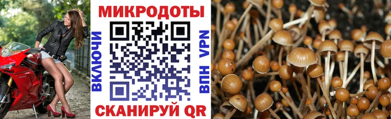 Псилоцибиновые грибы мицелий  Саратов 