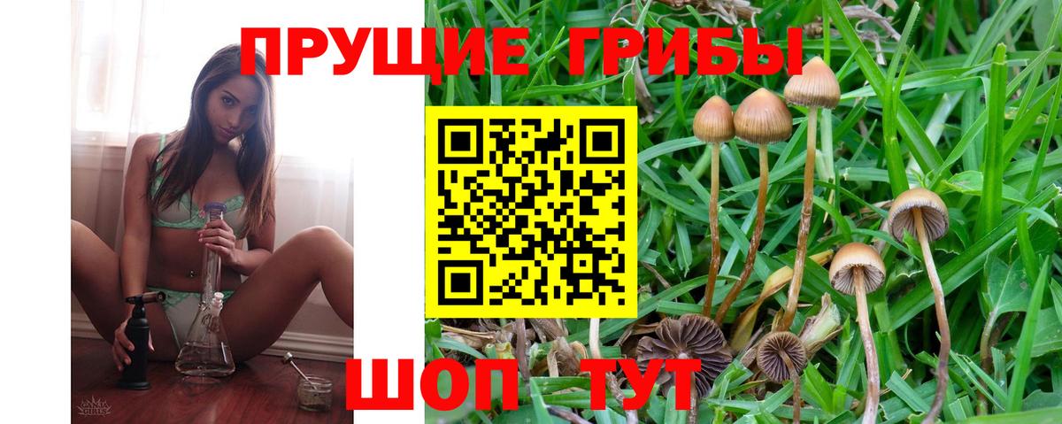 Псилоцибиновые грибы Psilocybe  Вход с VPN  Саратов 