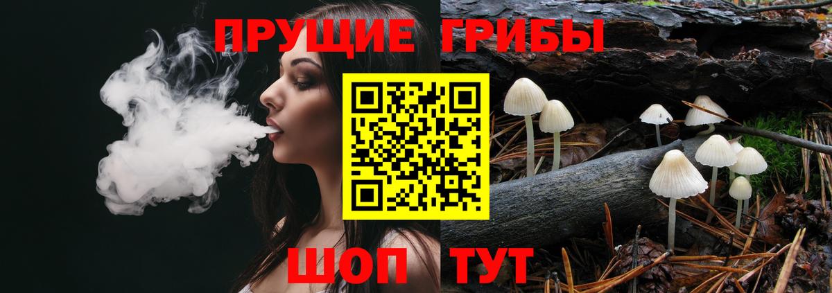 Галлюциногенные грибы GOLDEN TEACHER Саратов